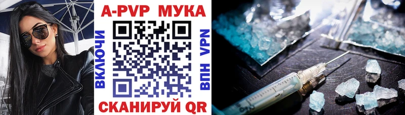 A PVP СК КРИС  Грозный 