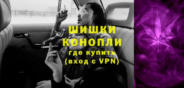 PSILOCYBIN Богданович