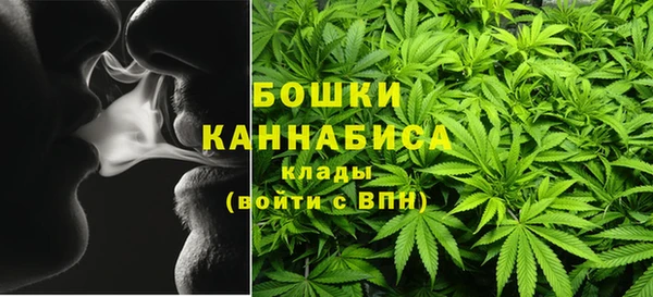 PSILOCYBIN Богданович