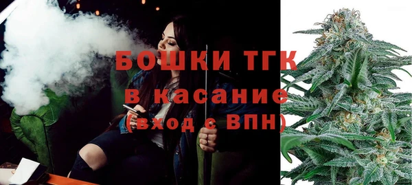 PSILOCYBIN Богданович