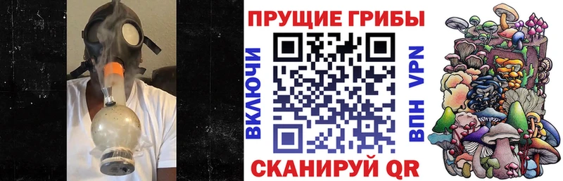 цена   Грозный  blacksprut ССЫЛКА  Псилоцибиновые грибы ЛСД 